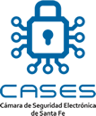CASES